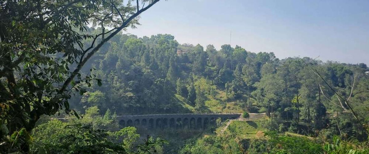 ake-widyastomo-L43sQxwvnU4-unsplash (1)