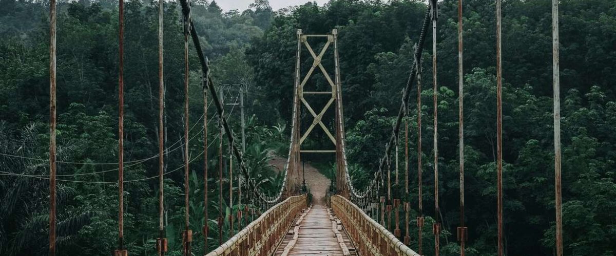 devi-puspita-amartha-yahya-HudYbsoDTdY-unsplash (1)